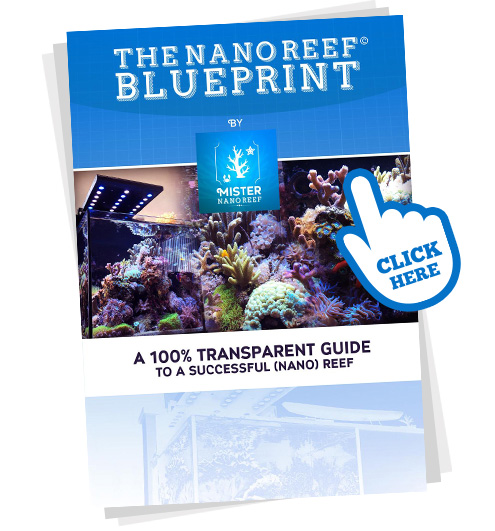 The Nano Reef Blueprint