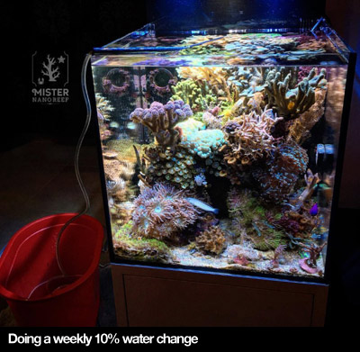 Nano Reef Care Water Change