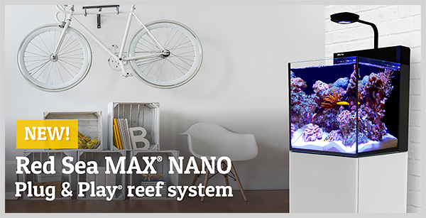 New Red Sea Max Nano