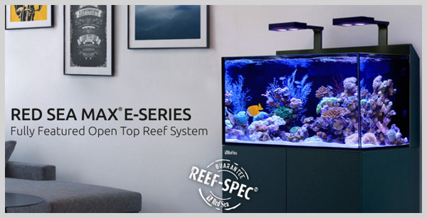 Red Sea Max E-Series