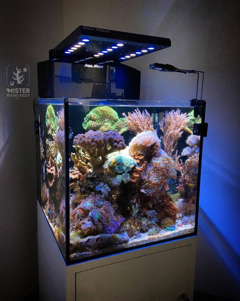 The Nano Reef Blueprint Mister Nano Reef
